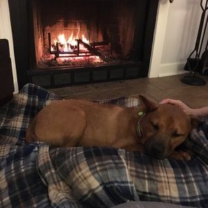 Meet your Posher, Nick